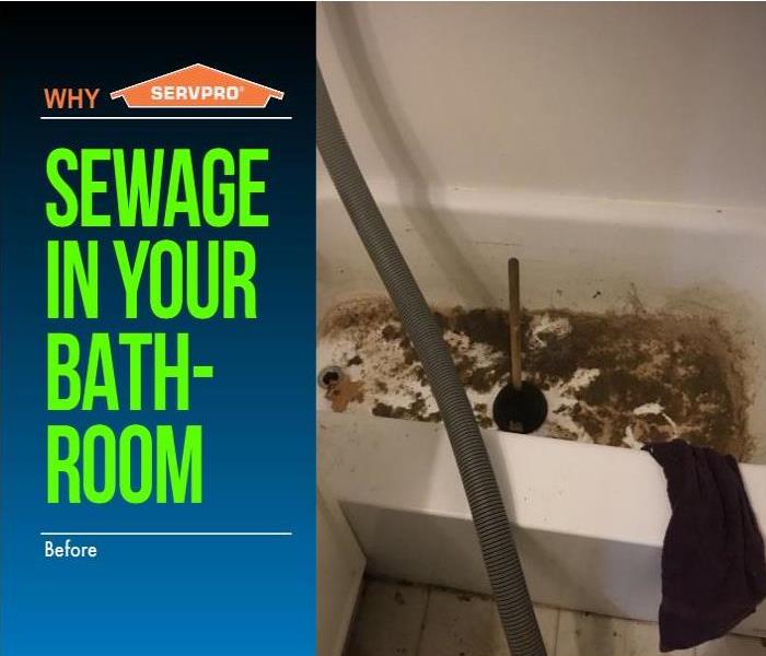 bathtub with dirt and plunger inside, hose and towel on side of tub