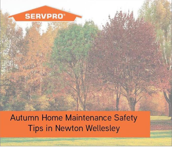 Autumn trees in background with orange SERVPRO logo and text box 